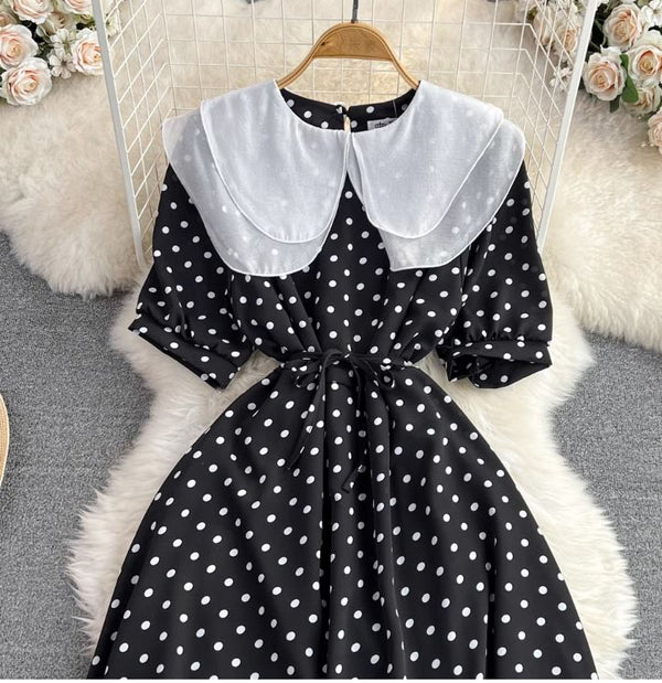 Rochie Amedia neagra cu imprimeu buline si guler dublu